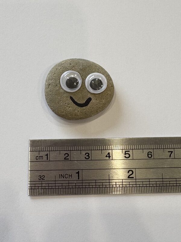 Small Pet Rock - Image 8