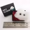 Pet Cloud Measurements