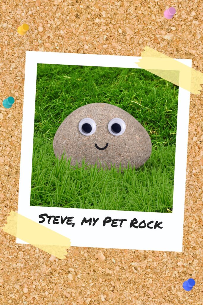 A pet rock named Steve sitting on grass, with a caption saying ‘Steve, my pet rock’