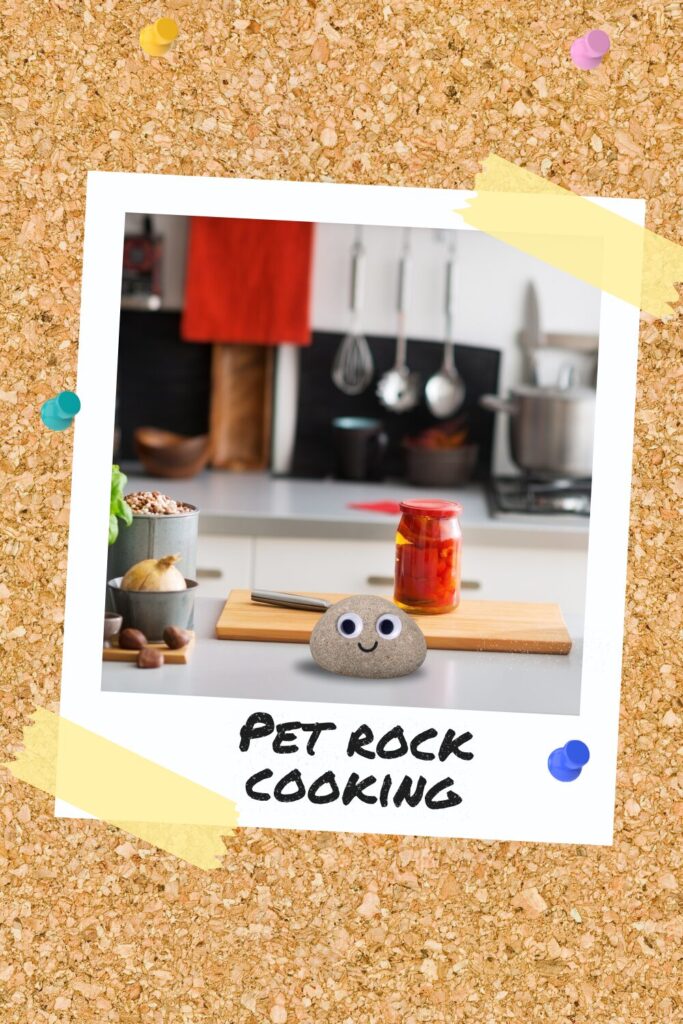 Pet rock sitting on a kitchen counter with ingredients around, captioned ‘Pet Rock Cooking’