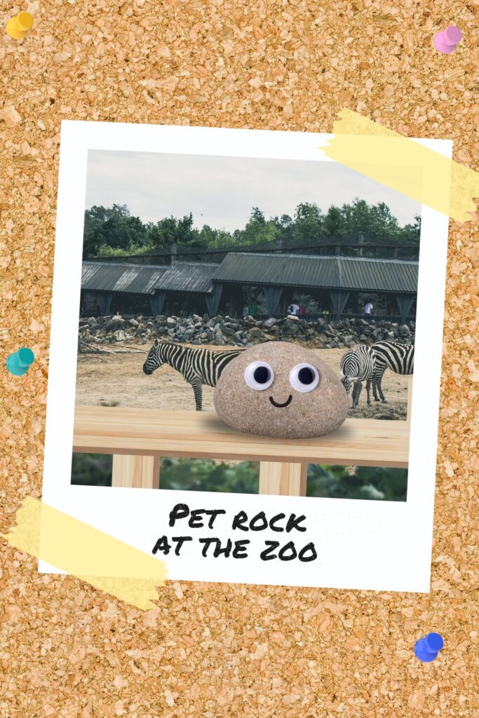 Pet rock sitting on a pedestal at the zoo, with zebras in the background, captioned ‘Pet Rock at the Zoo’