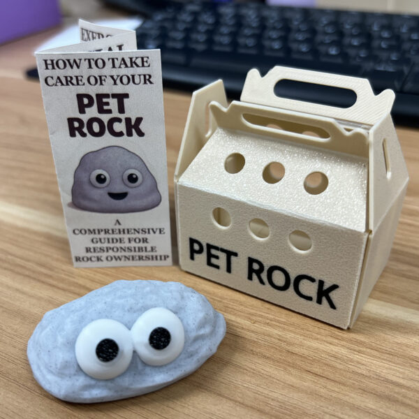 Baby Pet Rock - Image 3