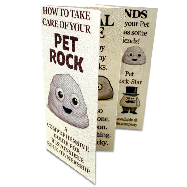 Baby Pet Rock - Image 6