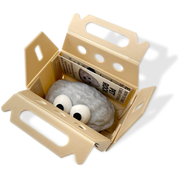 Baby Pet Rock - Image 5