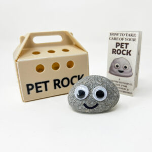 Pet Rock Main Image
