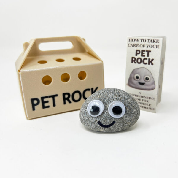 Pet Rock Main Image