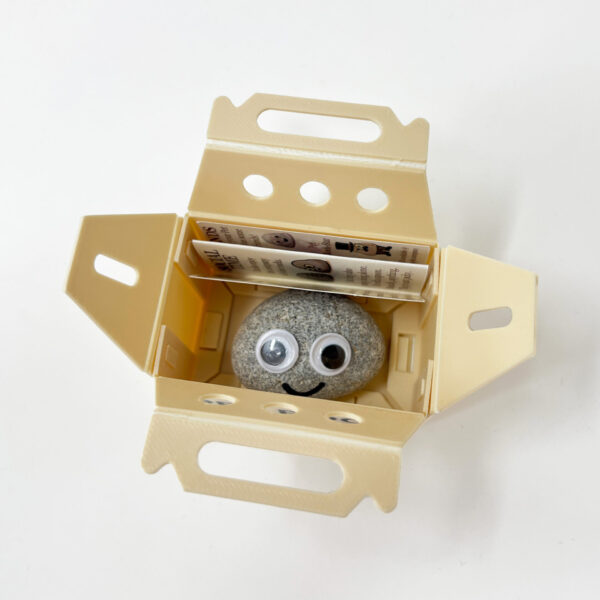 Pet Rock In Box