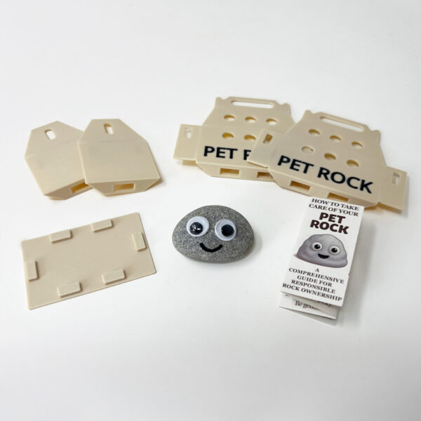 Pet Rock and Flat Case