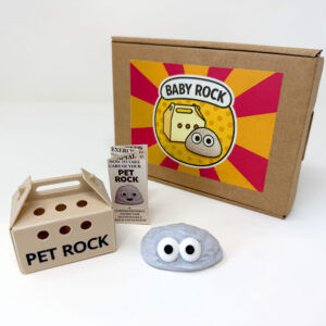 Pet Rock, Box, Carry case and manual