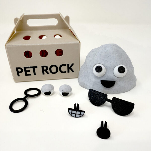 Large Pet Rock - With Accessories