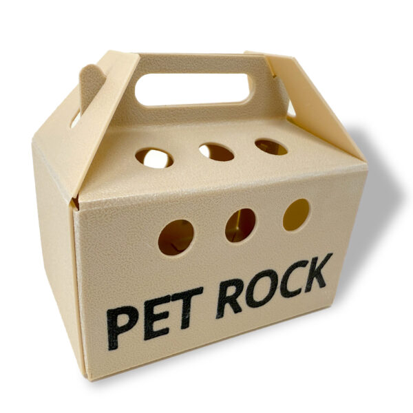 Large Pet Rock - BOX