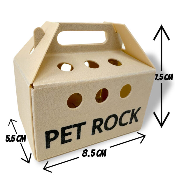 Large Pet Rock - BOX MEASURE