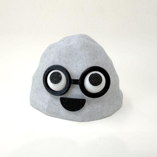 Large Pet Rock - GLASSES