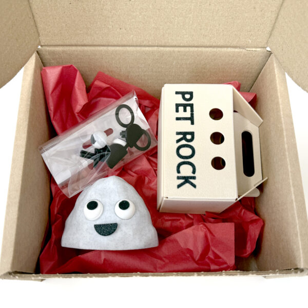 Large Pet Rock - IN A BOX