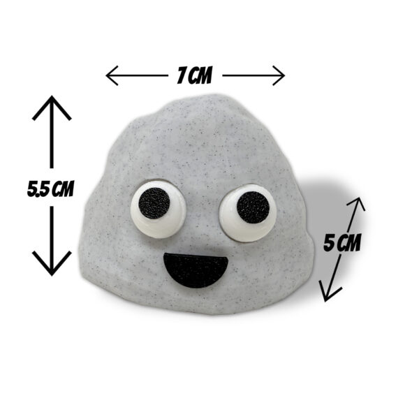 Large Pet Rock - Measure