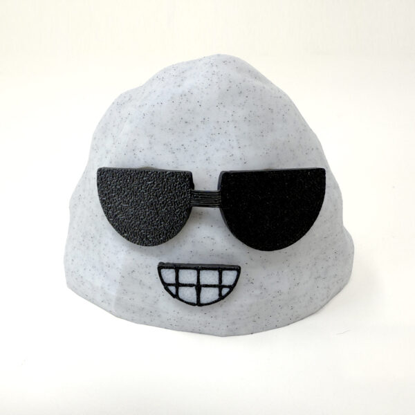 Large Pet Rock - SHADES