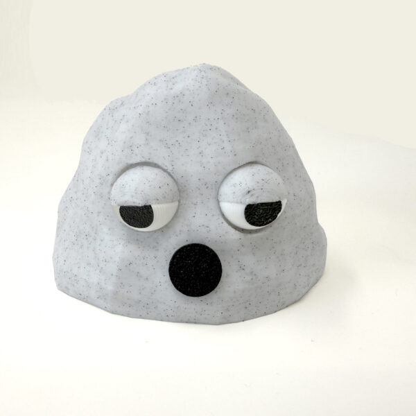 Large Pet Rock - SLEEPY
