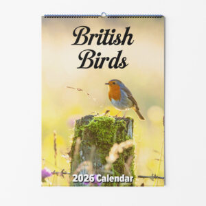 British Birds Calendar Front Cover