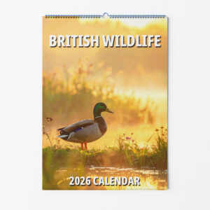 British Wildlife Calendar Front Cover