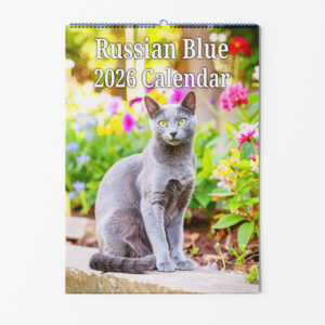 Russian Blue Cat Calendar Front Cover