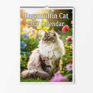 Ragamuffin Cat Calendar