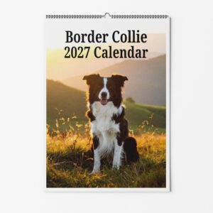 Border Collie Dog Calendar