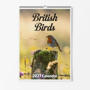 British Birds Calendar