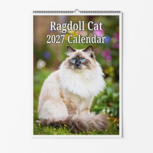 Ragdoll Cat Calendar