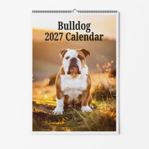 Bulldog Dog Calendar