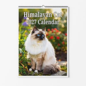 Himalayan Cat Calendar