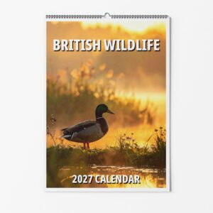 British Wildlife Calendar