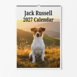Jack Russell Dog Calendar