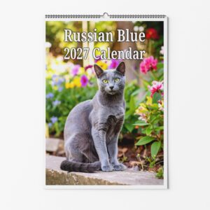 Russian Blue Cat Calendar
