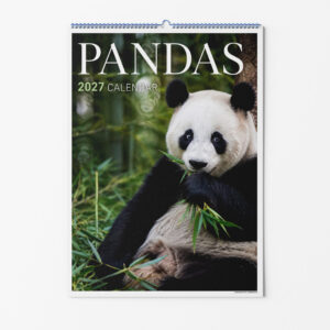 Pandas Calendar